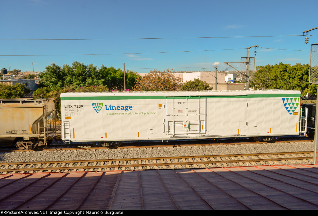 LINX Lineage Reefer